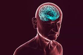 What happens to the brain when there is a vitamin deficiency?